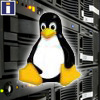 ���������� (dedicated) Linux / FreeBSD ������� � ������ ��� �������